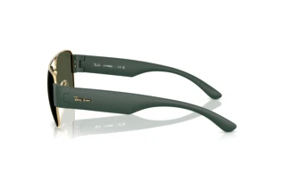 Vista lateral Ray-Ban RB3756 (001/31)