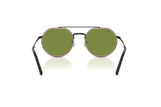 [glasses-back-view] Ray-Ban RB3765 (92794E)