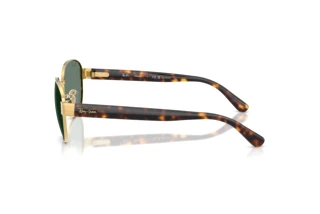 [glasses-side-view] Ray-Ban RB3766CH (001/O9)