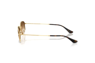 Vista lateral Ray-Ban RB3832 (001/51)