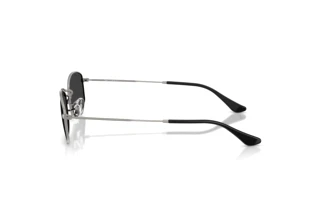 [glasses-side-view] Ray-Ban RB3832 (004/48)