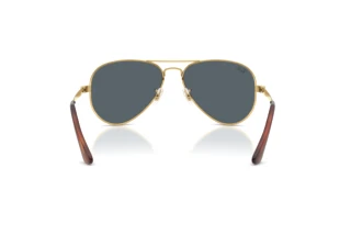 [glasses-back-view] Ray-Ban AVIATOR MAX (RB3925 - 001/R5)