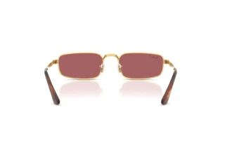 [glasses-back-view] Ray-Ban RB3927 (001/AF)