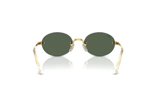 [glasses-back-view] Ray-Ban RB3929 (001/71)
