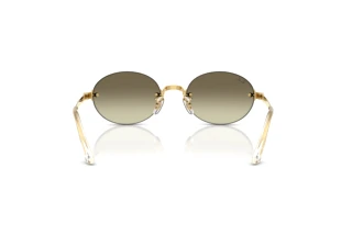 [glasses-back-view] Ray-Ban RB3929 (001/7I)