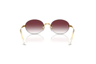 [glasses-back-view] Ray-Ban RB3929 (001/8H)