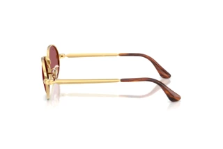 [glasses-side-view] Ray-Ban RB3931 (001/AF)