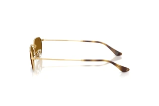 Vedere laterală Ray-Ban RB3947 (001/33)