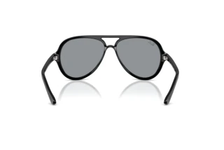 Vedere din spate Ray-Ban CATS 5000 (RB4125 - 601/R5)