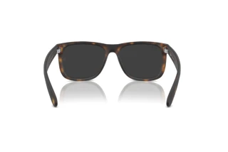 Vista posterior Ray-Ban JUSTIN (RB4165 - 865/87)
