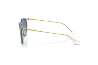 [glasses-side-view] Ray-Ban ERIKA (RB4171 - 67434L)