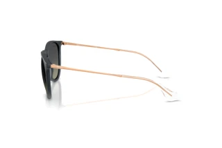 [glasses-side-view] Ray-Ban ERIKA (RB4171 - 681311)