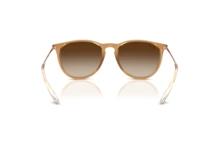 Vista posterior Ray-Ban ERIKA (RB4171 - 681413)
