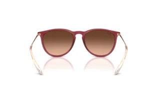 Vista posterior Ray-Ban ERIKA (RB4171 - 6815A5)