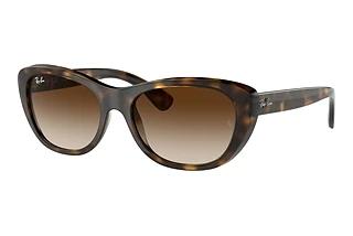 Ray-Ban RB4227 710/13