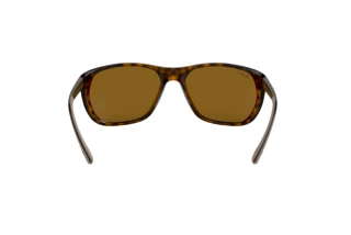 [glasses-back-view] Ray-Ban RB4307 (710/83)
