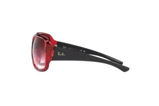 [glasses-side-view] Ray-Ban POWDERHORN (RB4347 - 66628H)