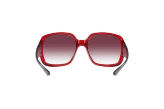 [glasses-back-view] Ray-Ban POWDERHORN (RB4347 - 66628H)