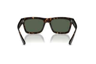 Vista posterior Ray-Ban WARREN (RB4396 - 135971)