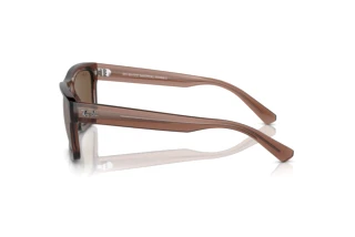 [glasses-side-view] Ray-Ban WARREN (RB4396 - 667873)