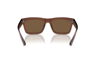 [glasses-back-view] Ray-Ban WARREN (RB4396 - 667873)