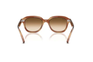 Vista posterior Ray-Ban ERIK (RB4398 - 140351)