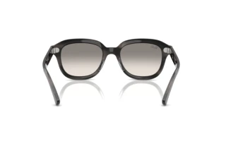 Vista posterior Ray-Ban ERIK (RB4398 - 140432)