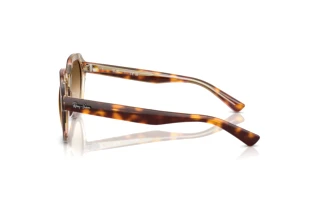 [glasses-side-view] Ray-Ban GINA (RB4399 - 141451)