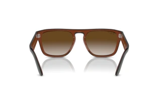 [glasses-back-view] Ray-Ban RB4407 (6732T5)