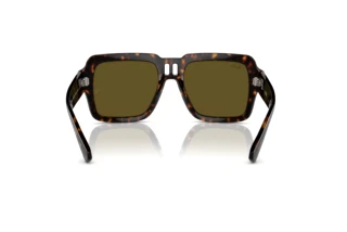 Vista posterior Ray-Ban MAGELLAN (RB4408 - 135973)