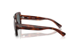 [glasses-side-view] Ray-Ban MAGELLAN (RB4408 - 139880)