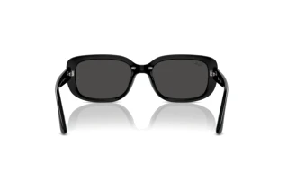 Vista posterior Ray-Ban RB4421D (667787)