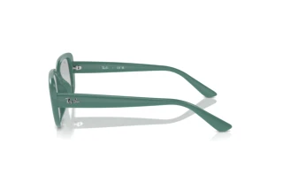 [glasses-side-view] Ray-Ban RB4421D (676287)