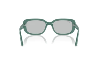 [glasses-back-view] Ray-Ban RB4421D (676287)