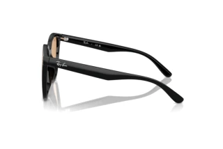 Vista lateral Ray-Ban RB4423D (601/93)