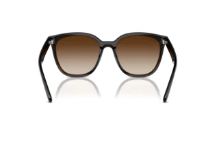 [glasses-back-view] Ray-Ban RB4423D (714/13)