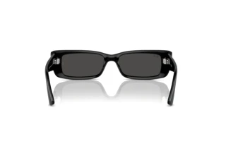 Vista posterior Ray-Ban TERU (RB4425 - 667787)