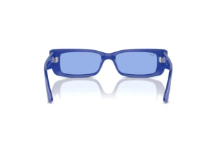 [glasses-back-view] Ray-Ban TERU (RB4425 - 676180)