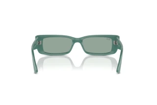 Vista posterior Ray-Ban TERU (RB4425 - 676282)