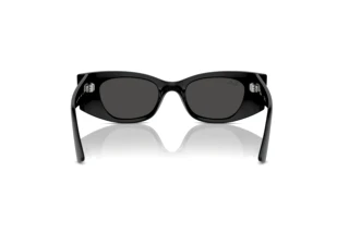[glasses-back-view] Ray-Ban KAT (RB4427 - 667787)