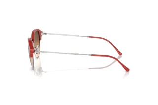 [glasses-side-view] Ray-Ban RB4429 (67223B)