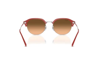 [glasses-back-view] Ray-Ban RB4429 (67223B)