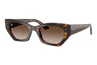 Ray-Ban RB4430 135913