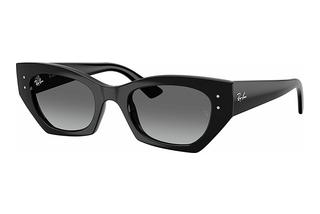 Ray-Ban RB4430 667711 Gradient GreyBlack