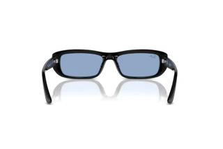 [glasses-back-view] Ray-Ban RB4436D (667772)