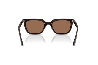 Vy bakifrån Ray-Ban RB4439D (623173)