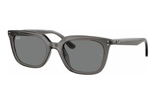 Ray-Ban RB4439D 667587 Dark GreyTransparent Grey