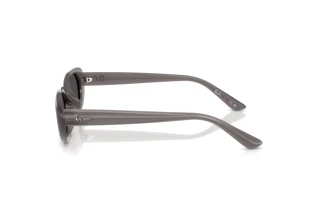 [glasses-side-view] Ray-Ban RB4441D (677787)