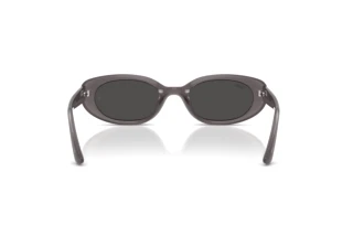 [glasses-back-view] Ray-Ban RB4441D (677787)