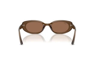 [glasses-back-view] Ray-Ban RB4441D (677973)